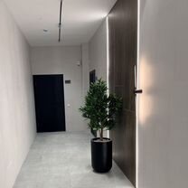 2-к. квартира, 57,1 м², 2/7 эт.