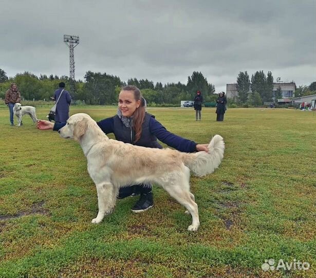 Кинолог зоопсихолог