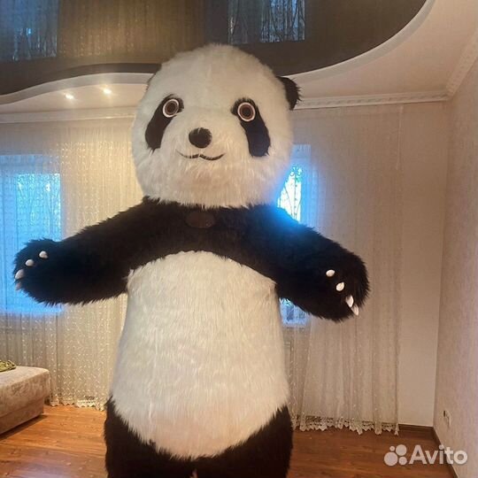 Ростовая кукла, экспресс поздравление