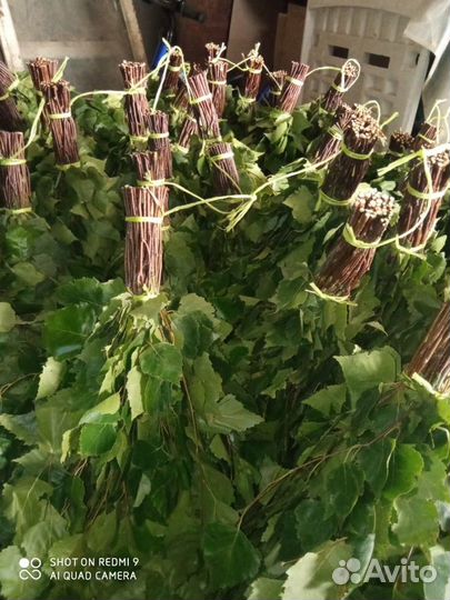 Банные веники- дуб, берёза