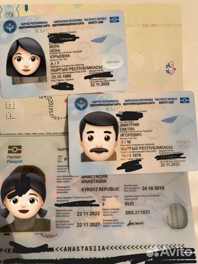 Помощь в получении гражданства Киргизии