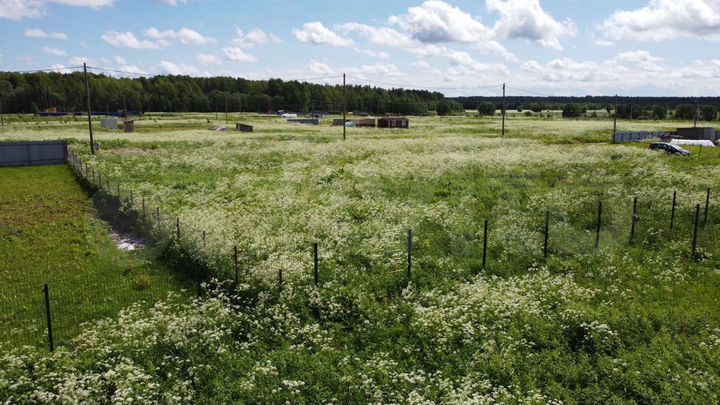 Участок 10 сот. (СНТ, ДНП)