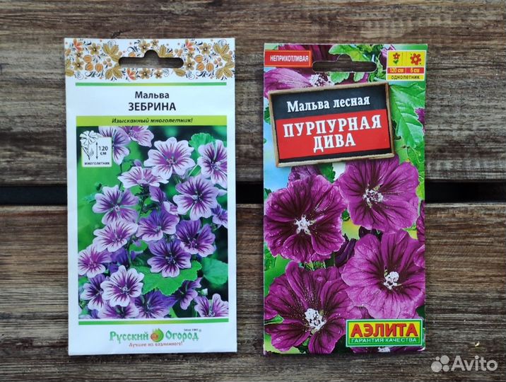 Семена многолетних цветов №4