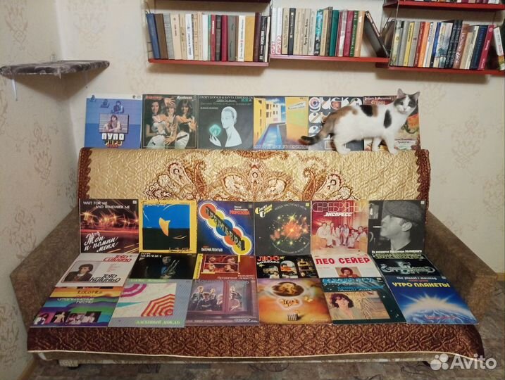 Виниловые пластинки