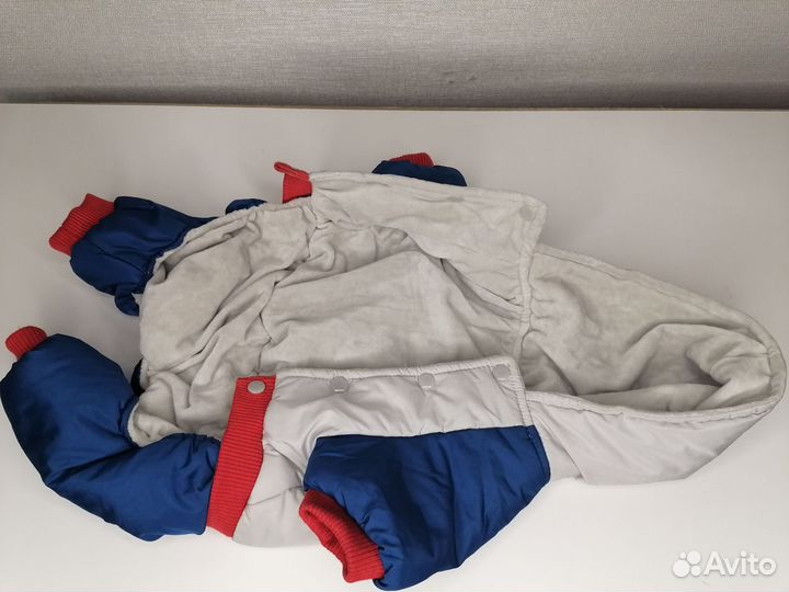 Комбинезон на чихуахуа