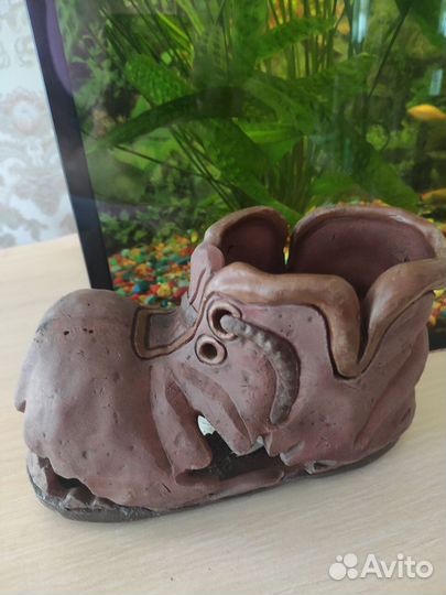 Аквариумные рыбки