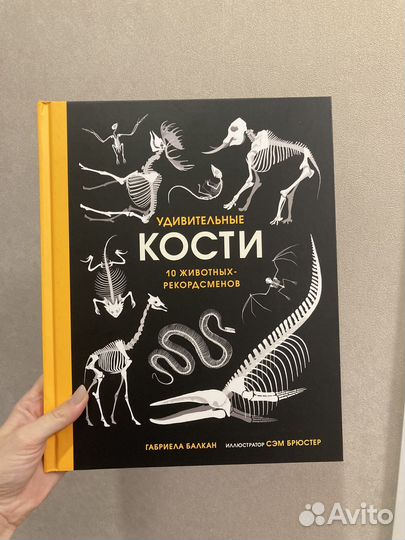 Удивительные кости