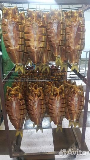 Рыба холодного копчения