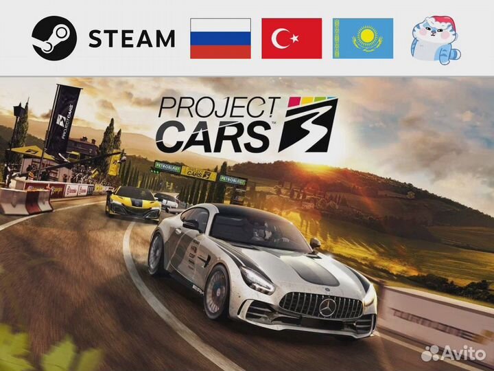 Project Cars 3 (Steam)
