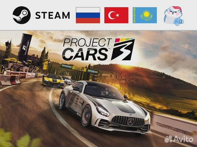 Project Cars 3 (Steam)