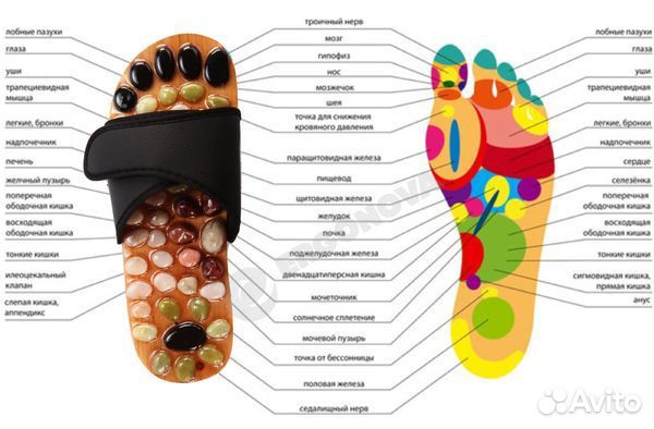 Массажные тапочки Ergonova Minigo