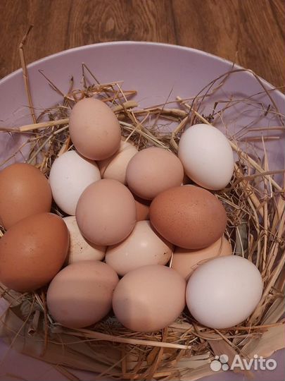 Домашние куриные яйца