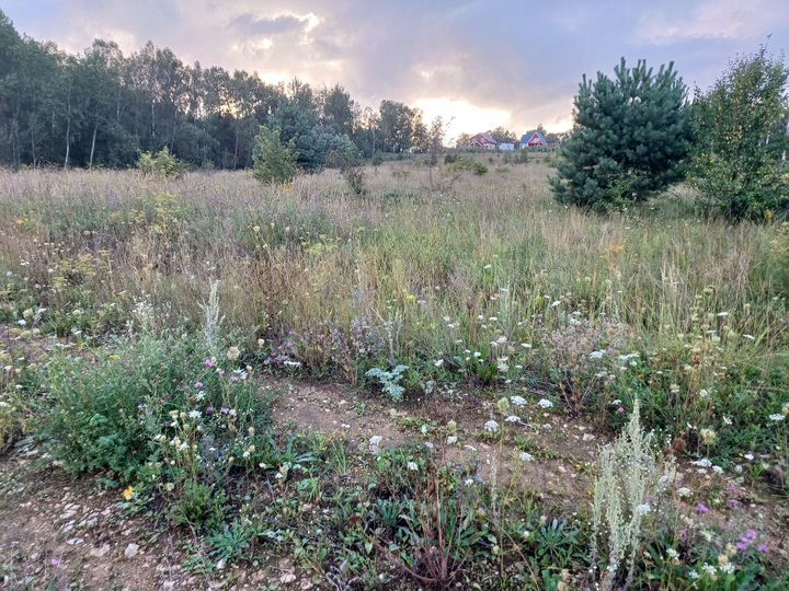 Участок 15 сот. (ИЖС)