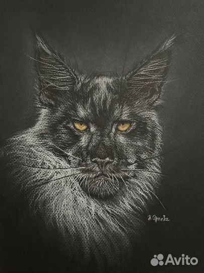 Портрет питомца по фото