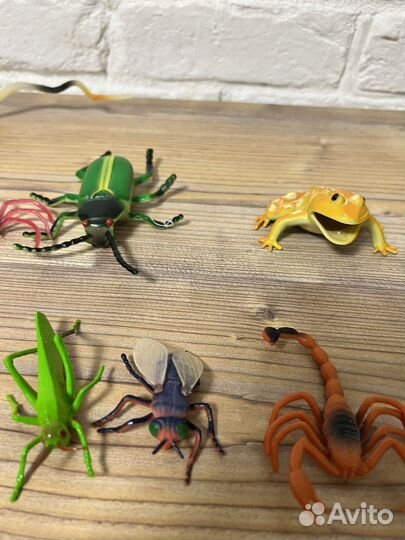 Игрушечные насекомые