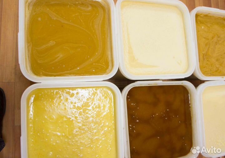 2024 Мёд натуральный алтайский опт