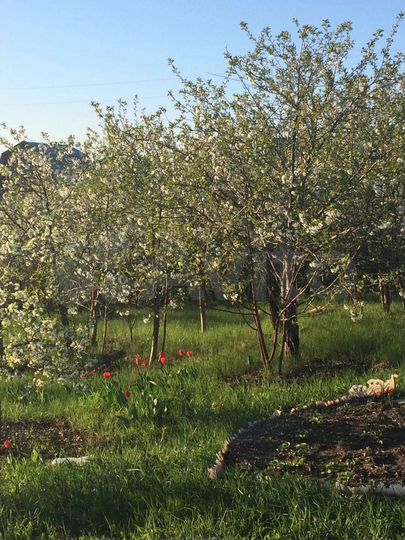 Дача 20 м² на участке 6 сот.