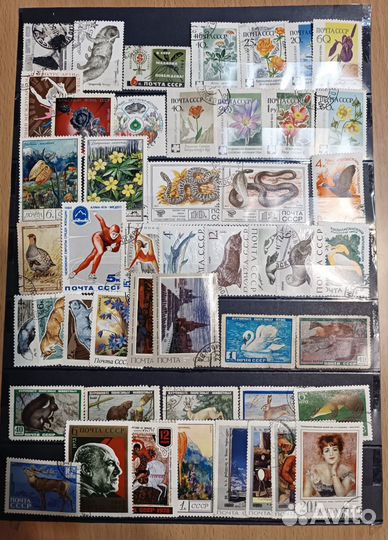 Почтовые марки СССР