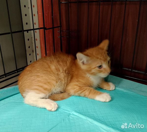 Малышам нужен дом