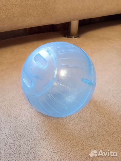 Шар прогулочный