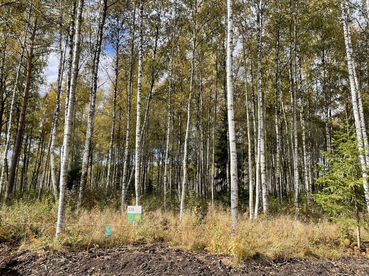 Участок 12,4 сот. (ИЖС)