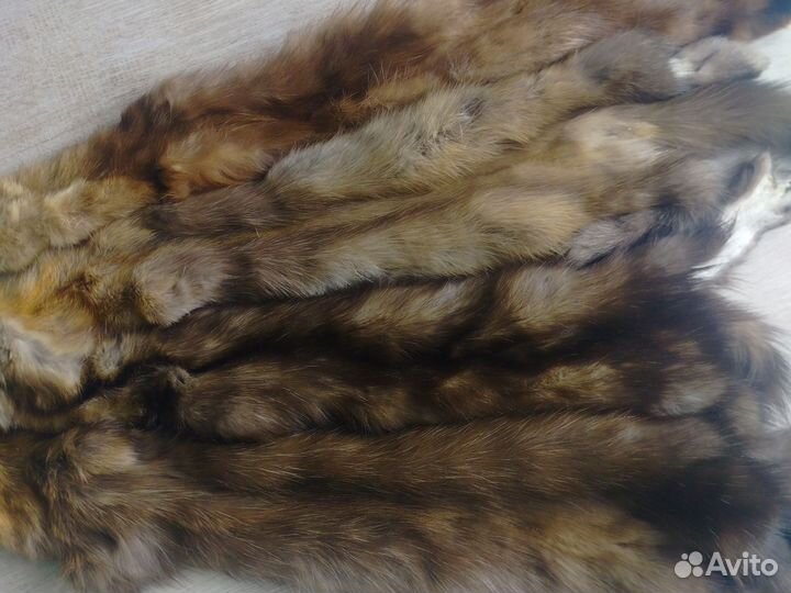 Шкурки соболя