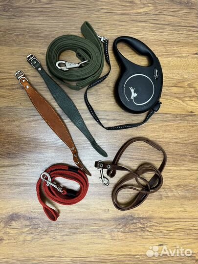 Ошейник селедка, поводок, рулетка 8м