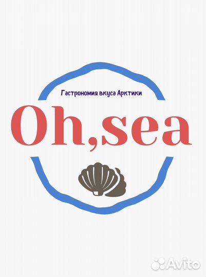 Свежевыловленный морской гребешок