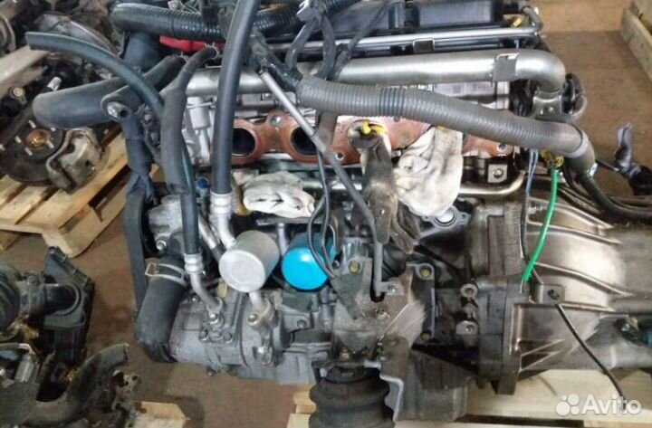 Suzuki grand vitara контрактный двигатель 2.4