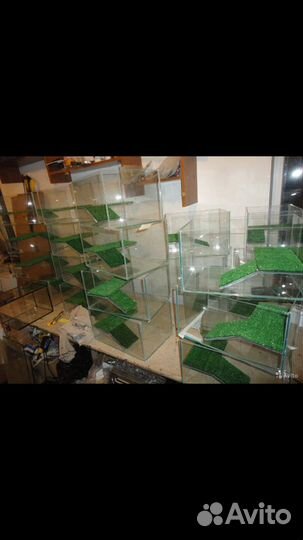 Террариумы готовые и под заказ