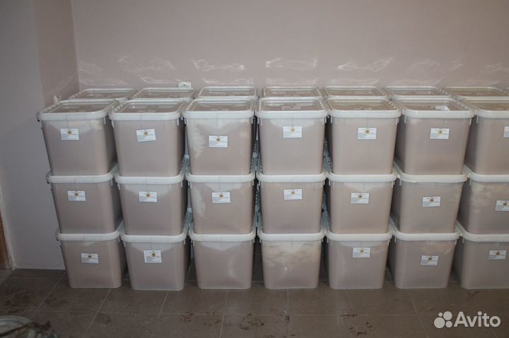 Майский мед оптом