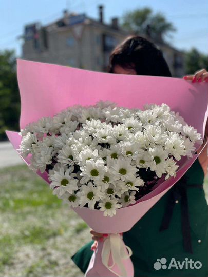 Хризантема гигант букет