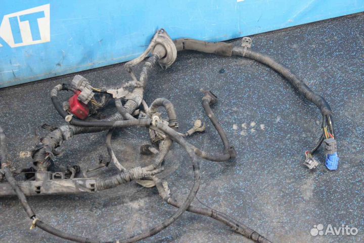 Проводка двс Honda Accord Wagon (Хонда Аккорд Ваго