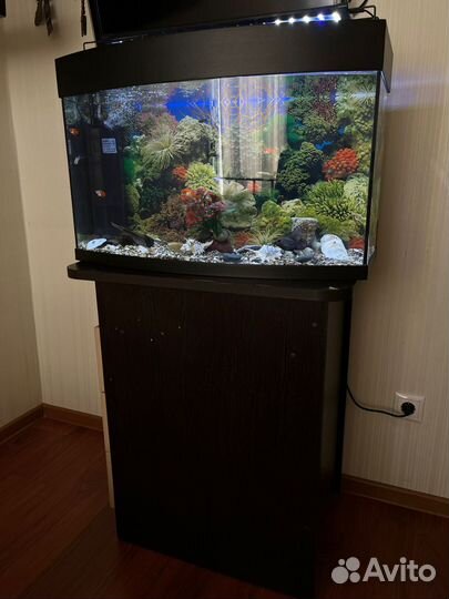 Аквариум полный комплект с рыбками