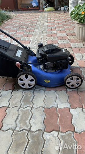 Газонокосилка бензиновая etalon