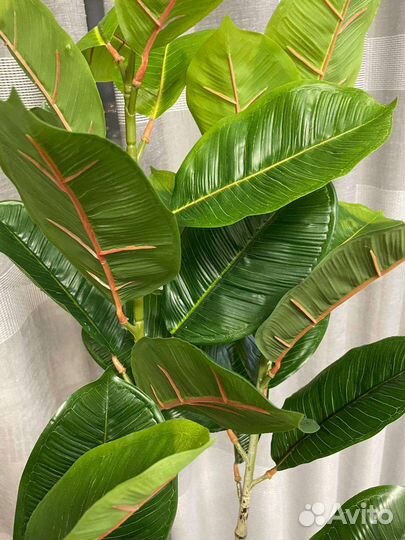 Искусственный фикус крупнолистовой