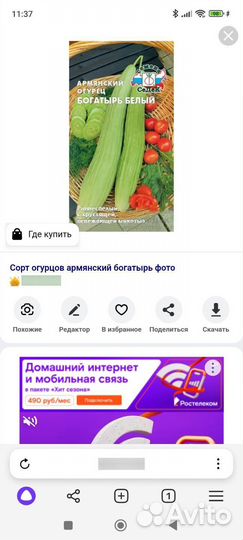 Рассада перца огурцов дынь кабачков и др