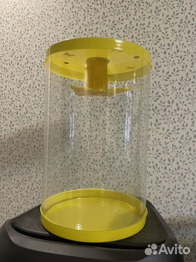 Ферма для выращивания бабочек. Бабочкарий