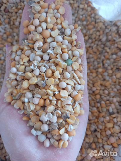 Горох колотый