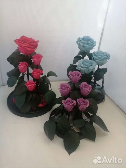 Роза в колбе в розницу и оптом