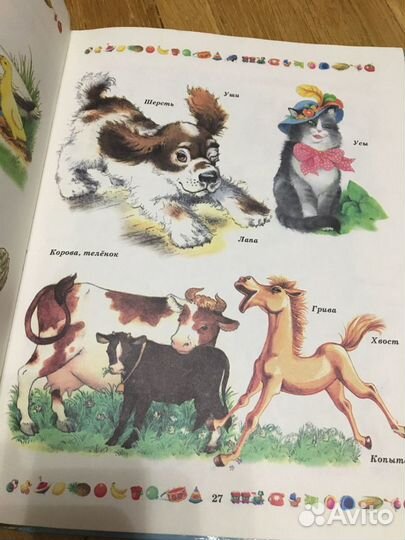 Программа для развития дошкольника