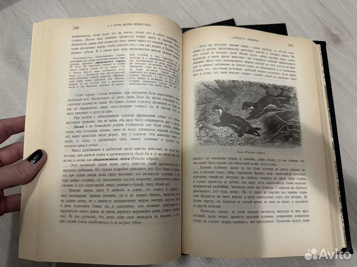 Книги Брэм Жизнь животных