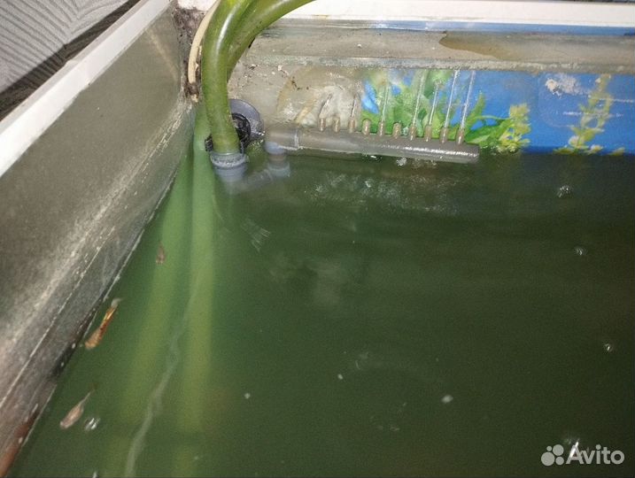 Большой аквариум 200л