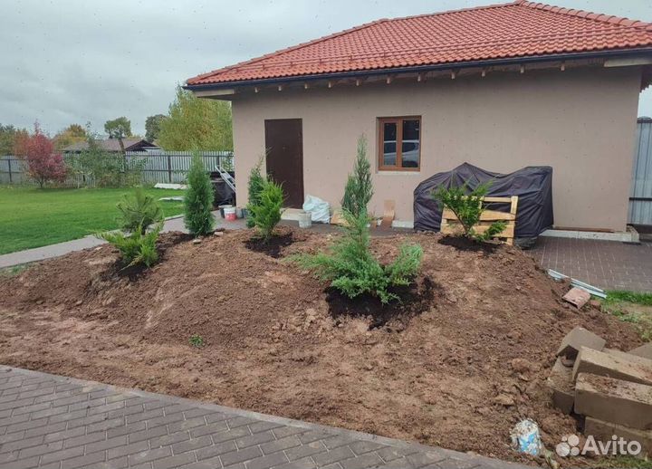 Смарагд вип экстра для живой изгороди