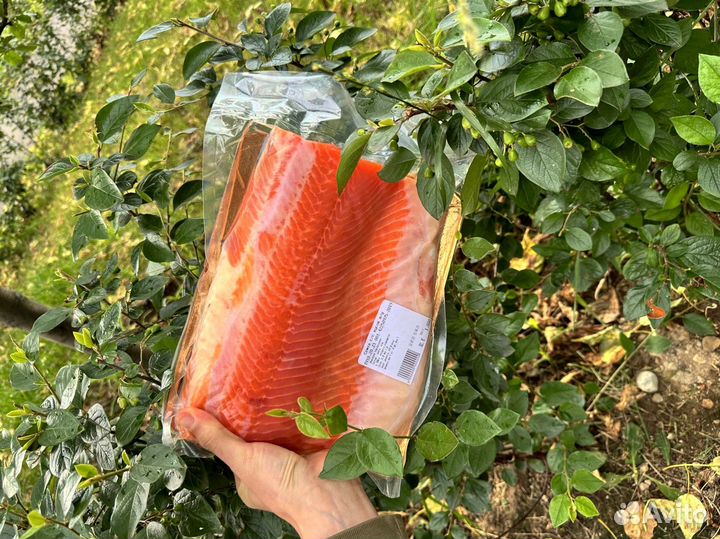 Семга слабосоленая