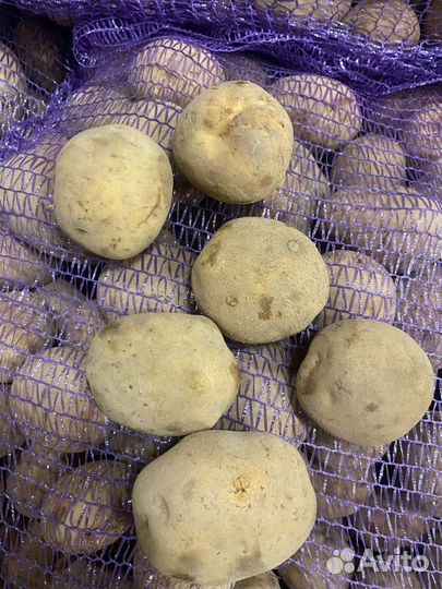 Продам картофель