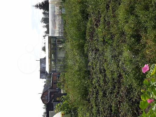 Дача 20 м² на участке 6 сот.