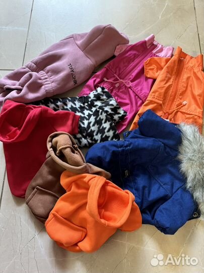 Одежда для собак мелких пород