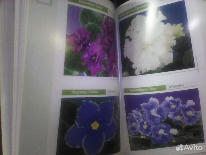 Фотоальбом-книга А. А. Скрябин 