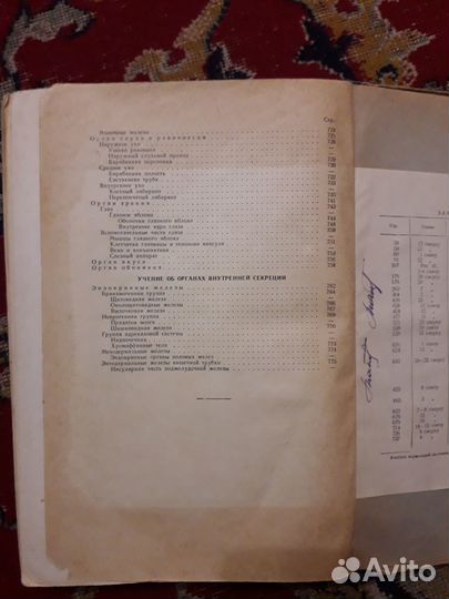 Учебник нормальной анатомии человека